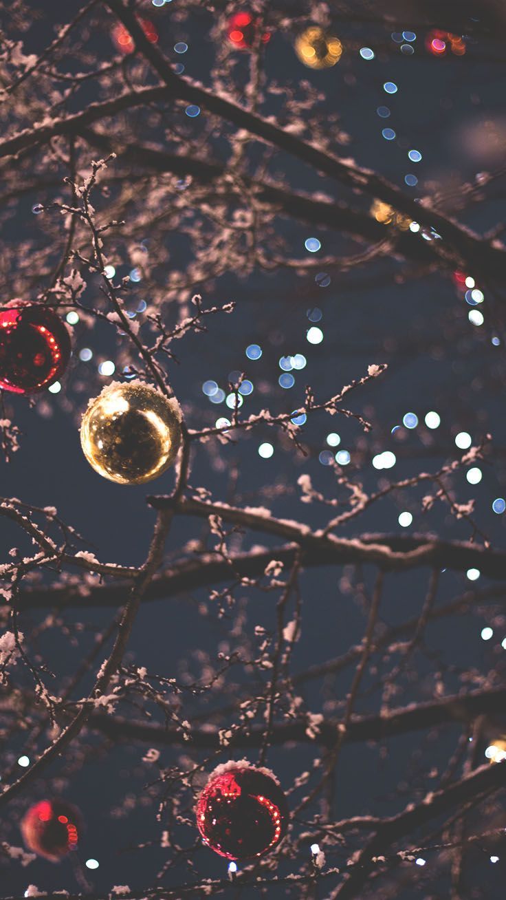 Aesthetic Christmas wallpaper for iPhone. Bokeh lights, tree branches and Christmas balls. - Christmas lights
