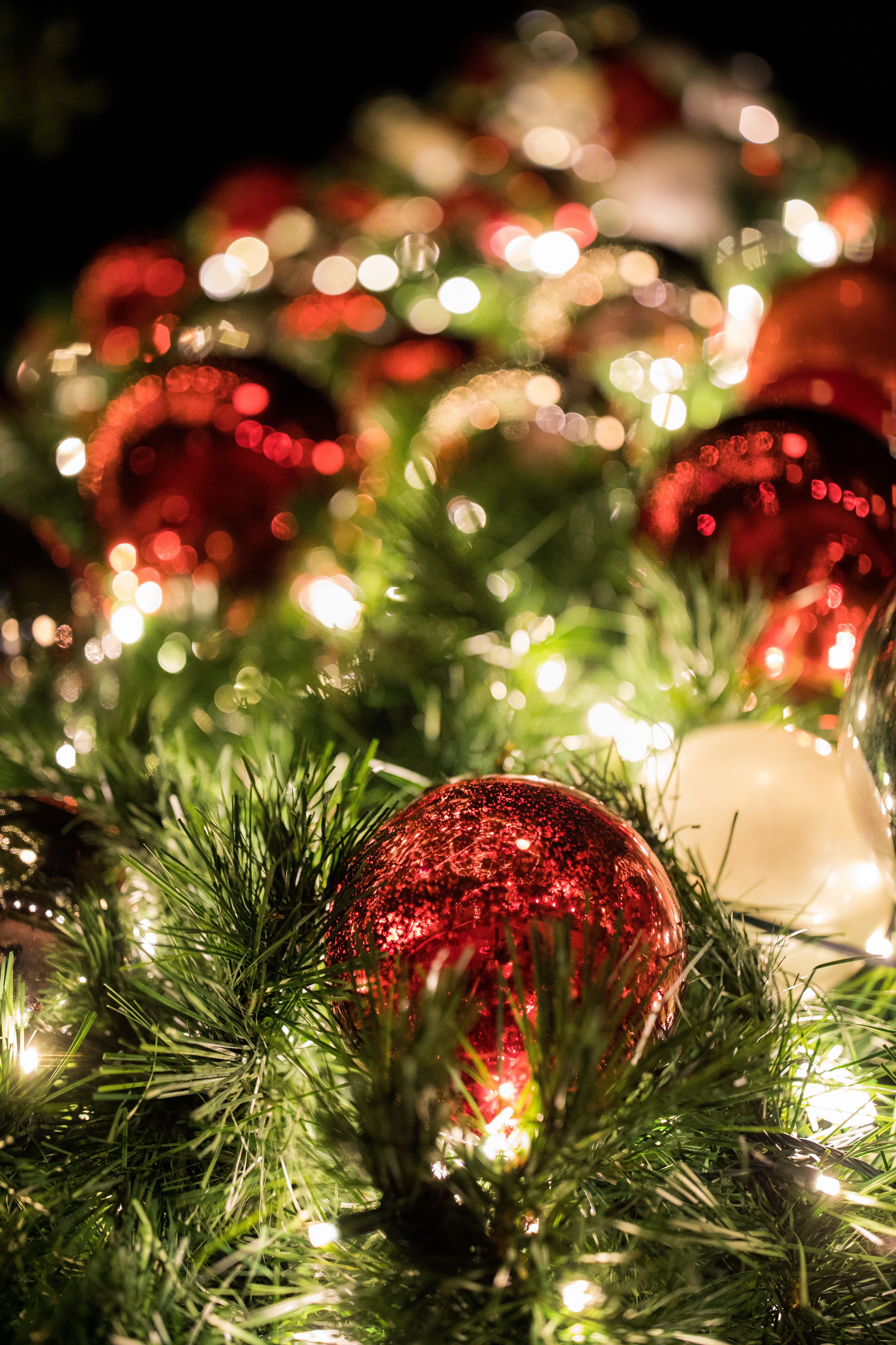 Christmas Lights Wallpaper, HD Christmas Lights Background, Free Image Download