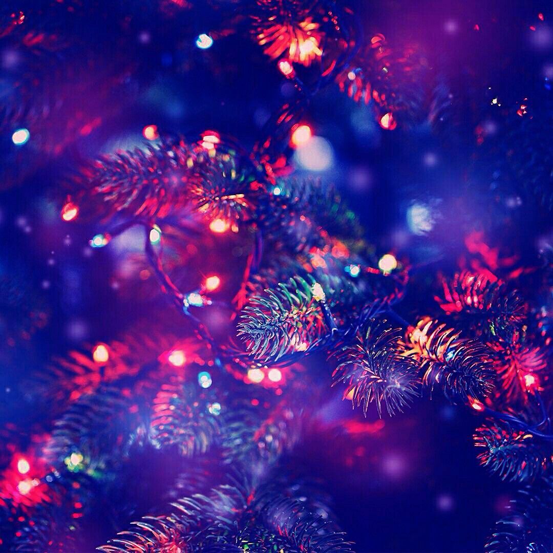 A close up of a Christmas tree with red and blue lights. - Christmas lights