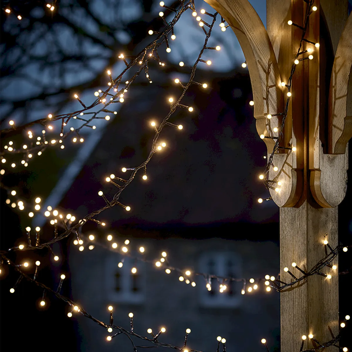 Warm white LED cluster lights wrapped around a tree branch - Fairy lights
