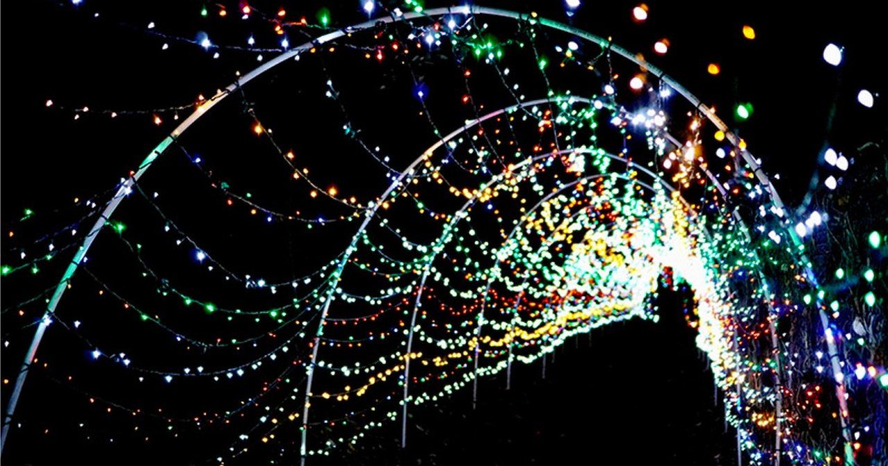 Person standing under a tunnel of Christmas lights. - Christmas lights