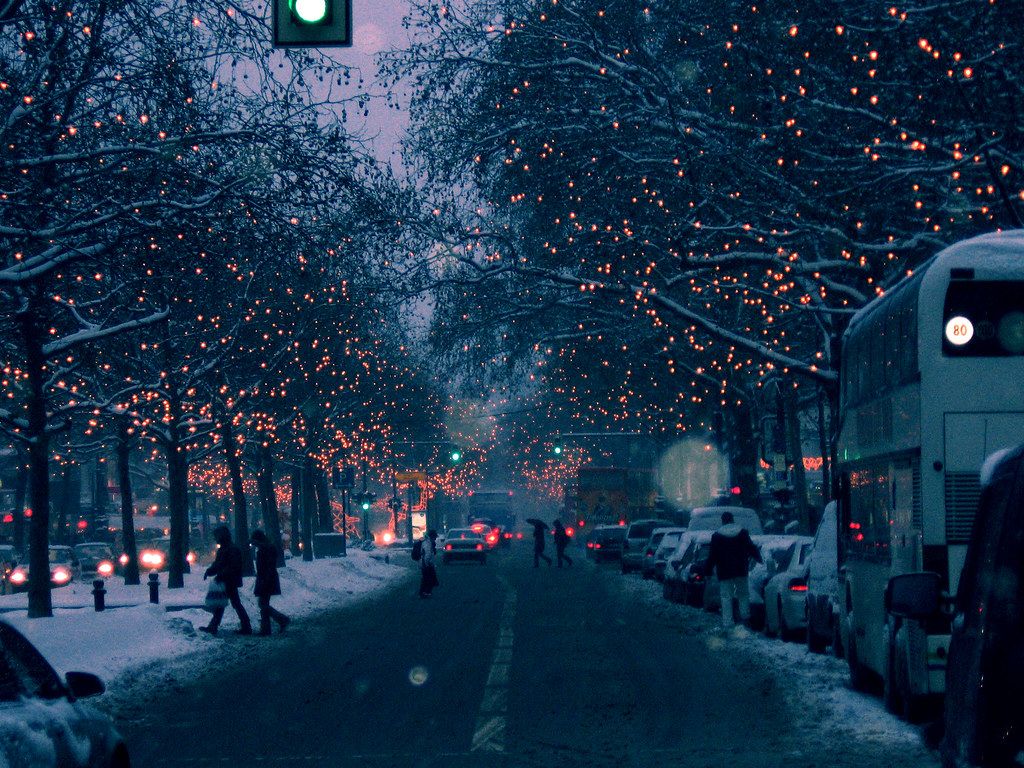 Christmas lights strung up on trees along a snowy city street - Christmas lights