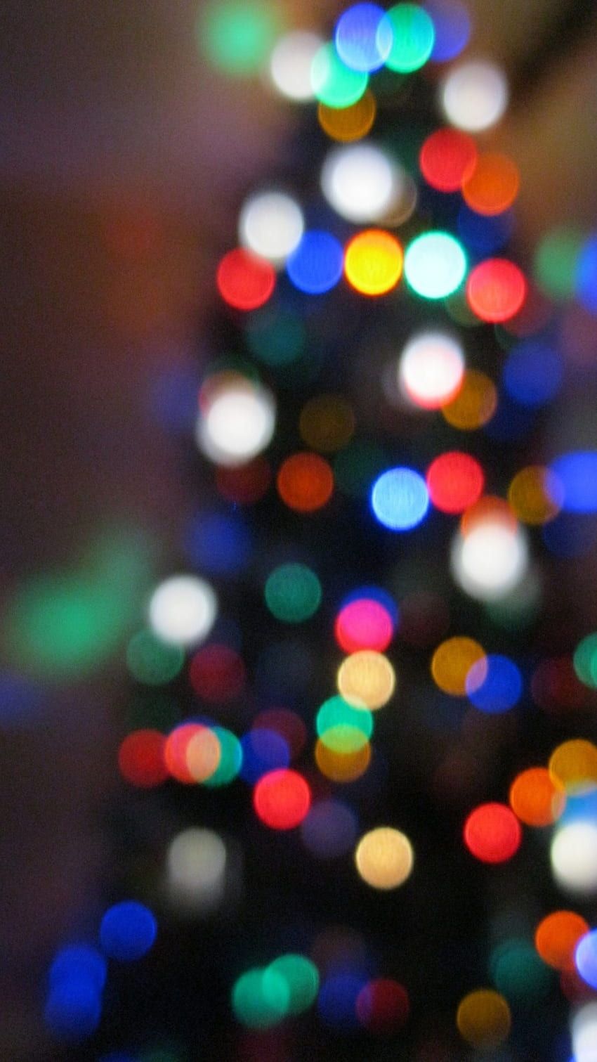 A close up of a blurred Christmas tree with colored lights. - Christmas lights