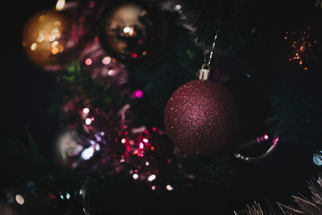 Wallpaper Christmas Day, Christmas Ornament, Tree, Light, Christmas, Background Free Image