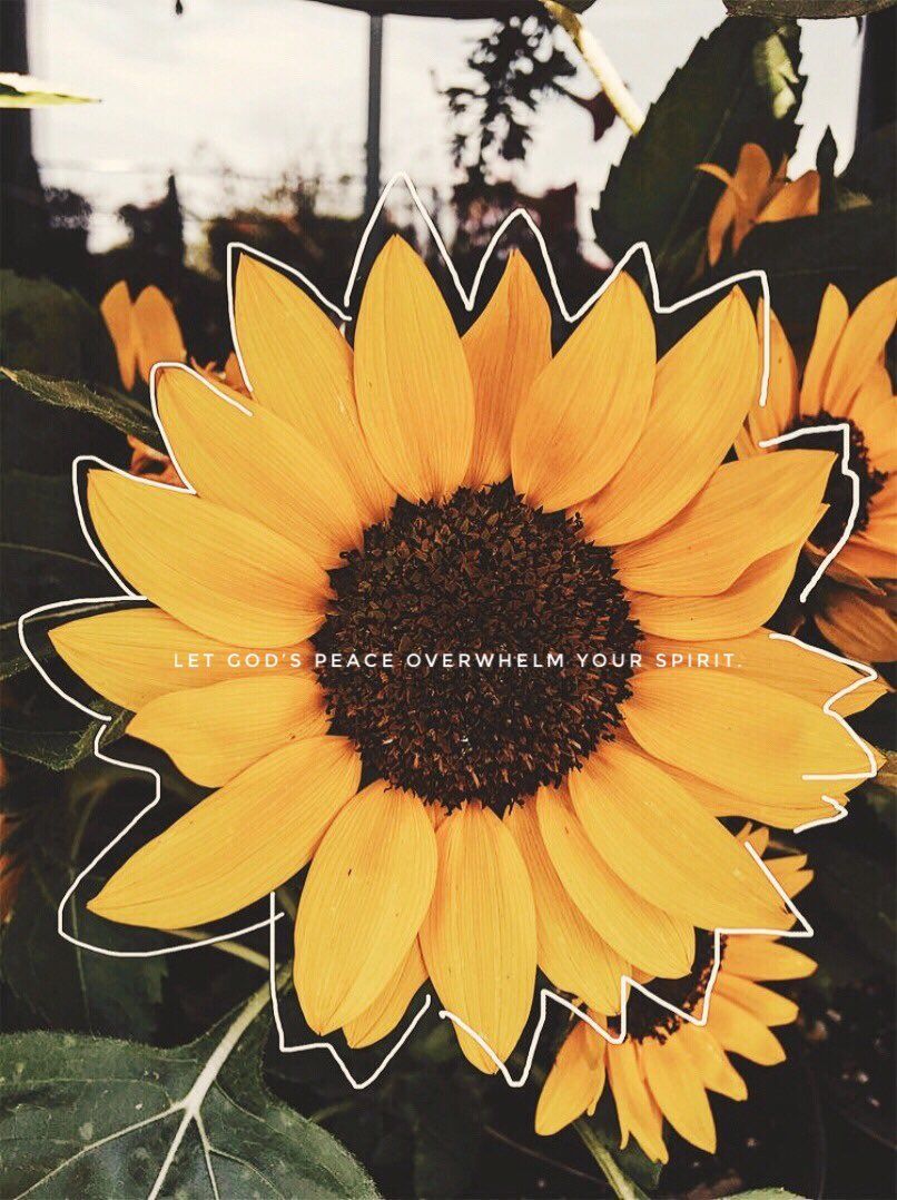 A sunflower with the words 