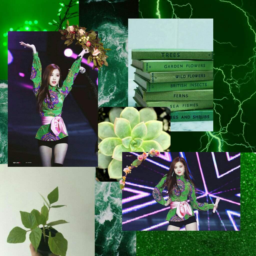 A green aesthetic with images of plants, books, and a collage of Lisa from Blackpink. - BLACKPINK