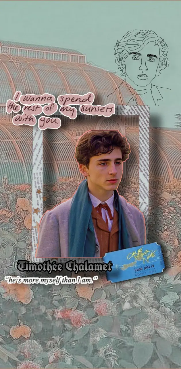 A collage of Timothee Chalamet with a quote from the movie 