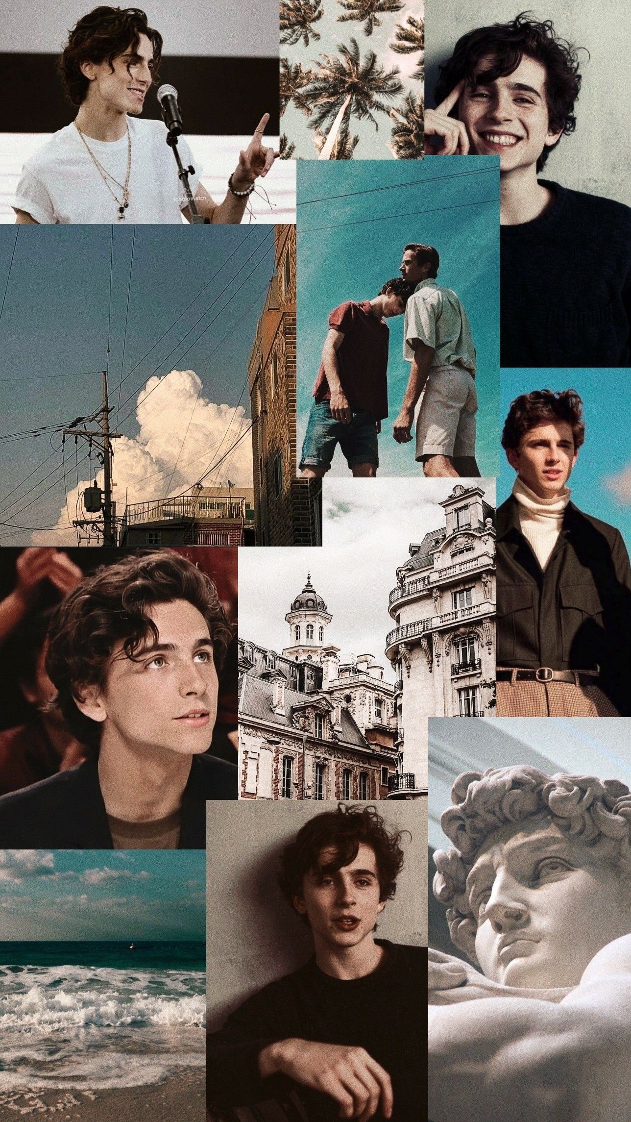 Collage of Timothee Chalamet photos for an aesthetic background - Timothee Chalamet