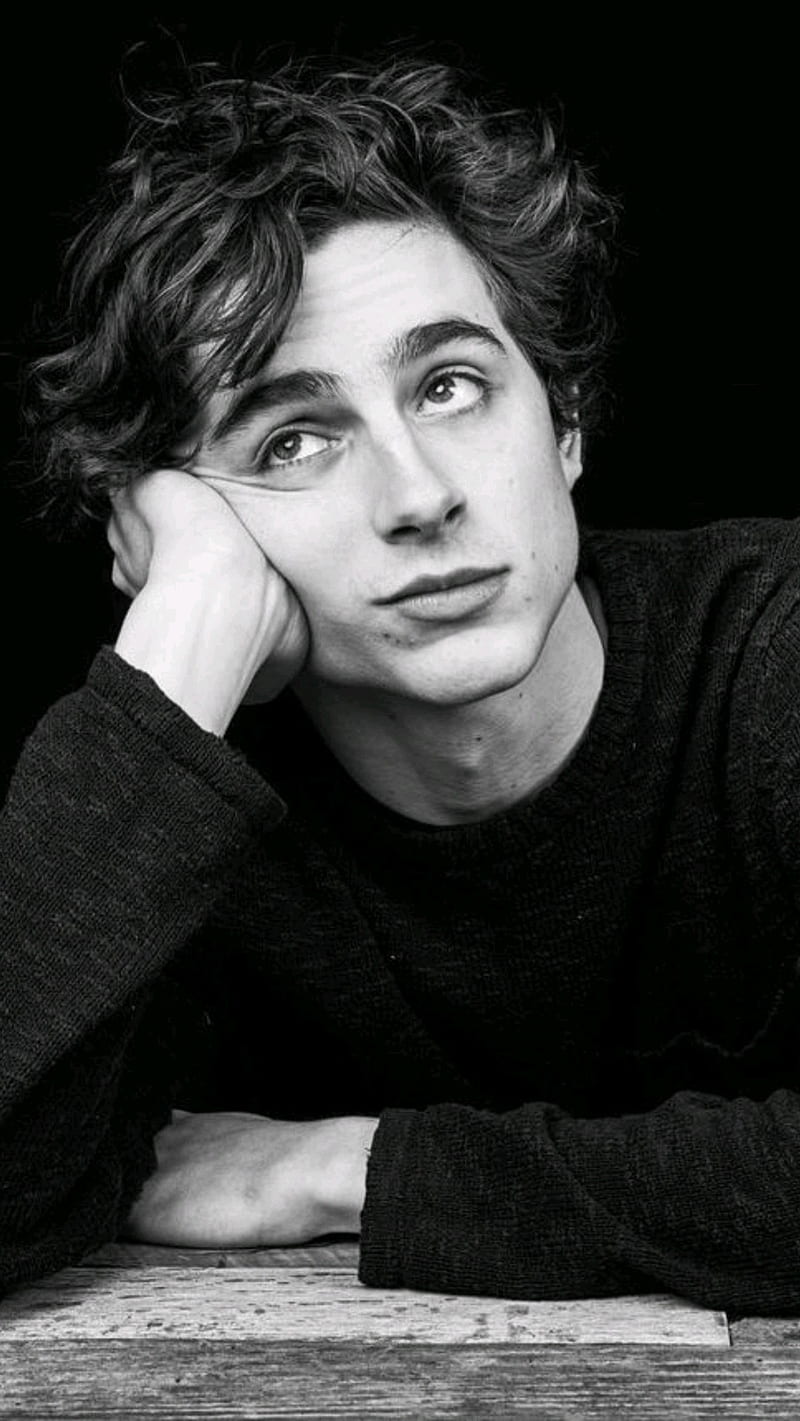 Timothee Chalamet is an actor from France. - Timothee Chalamet