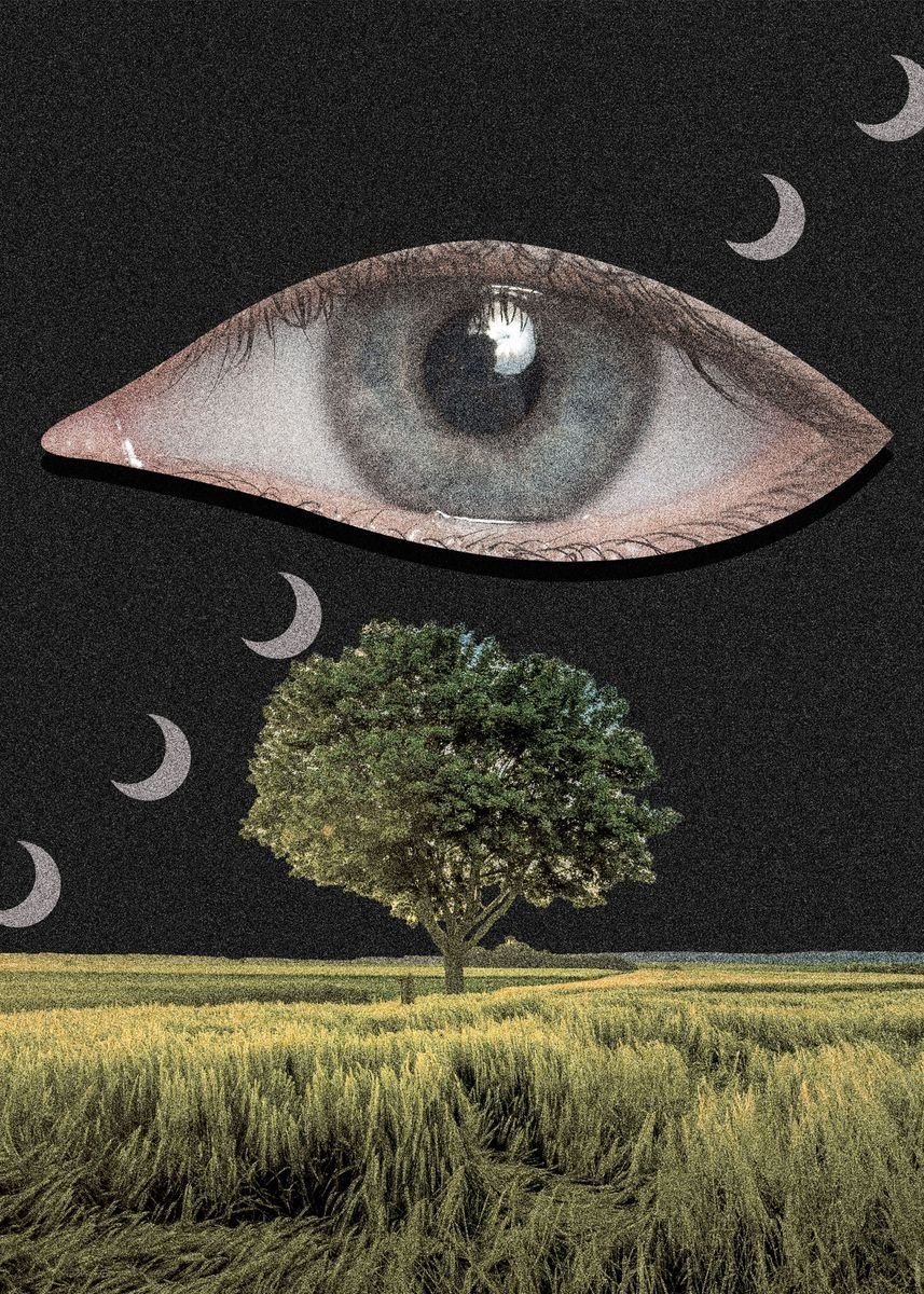 A collage of an eye over a field with a tree. - Weirdcore