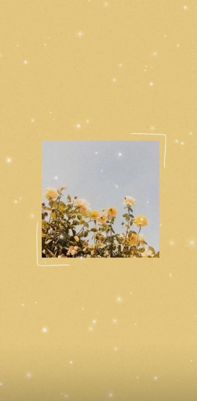 A yellow aesthetic image with a picture of flowers and stars. - Pastel yellow