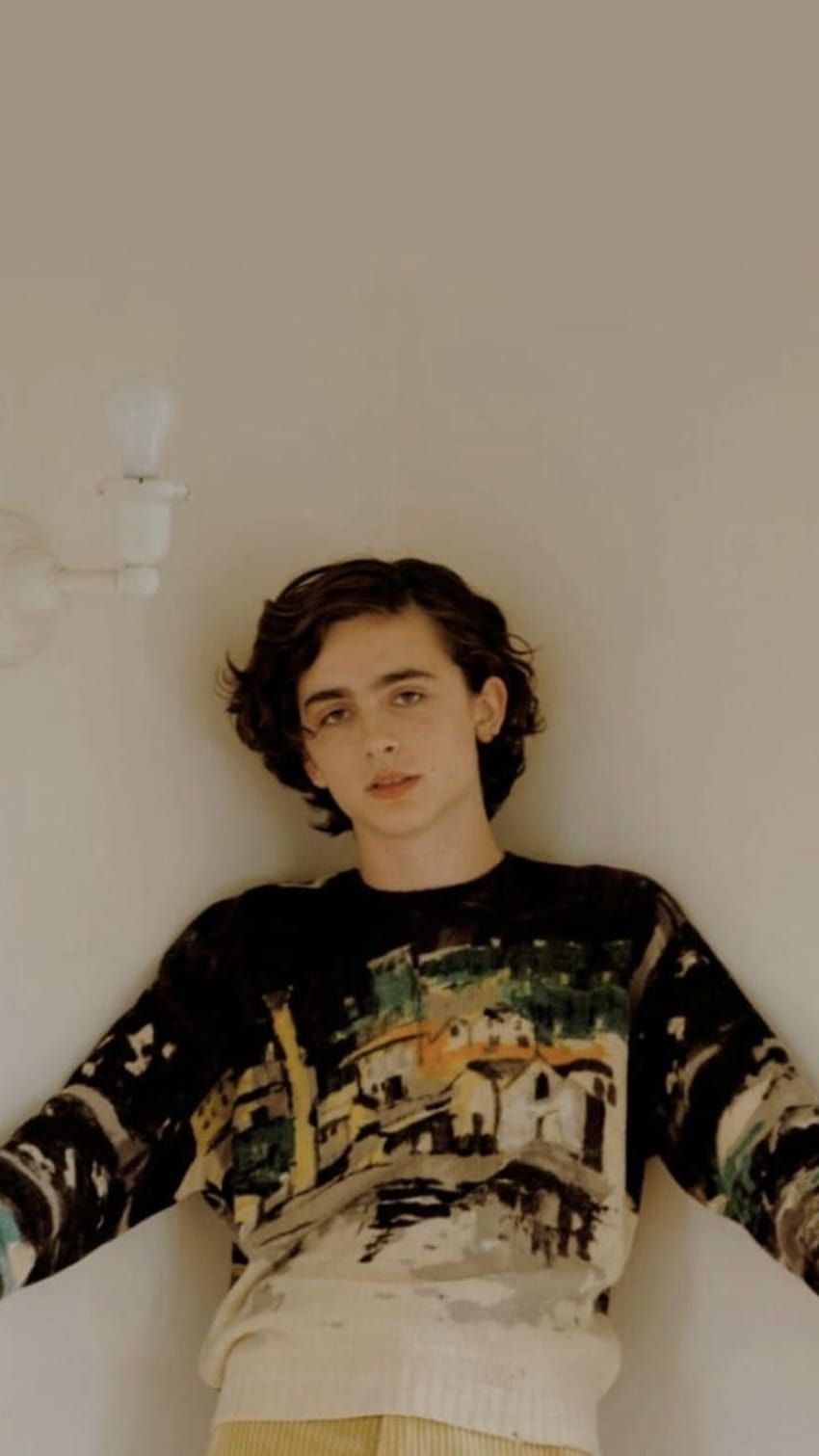 About in backgraunds by Kida, aesthetic timothee chalamet HD phone wallpaper