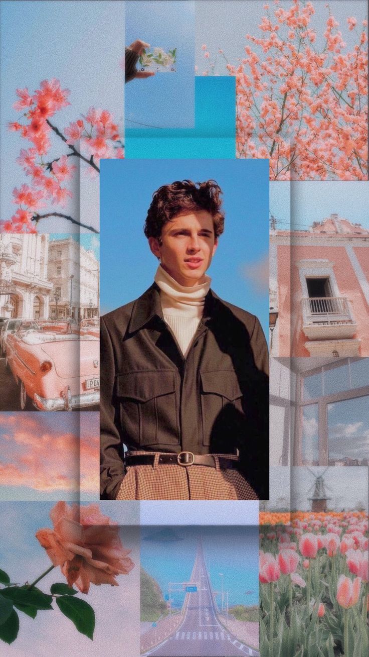 A collage of images including a man, flowers, a car, and a building. - Timothee Chalamet