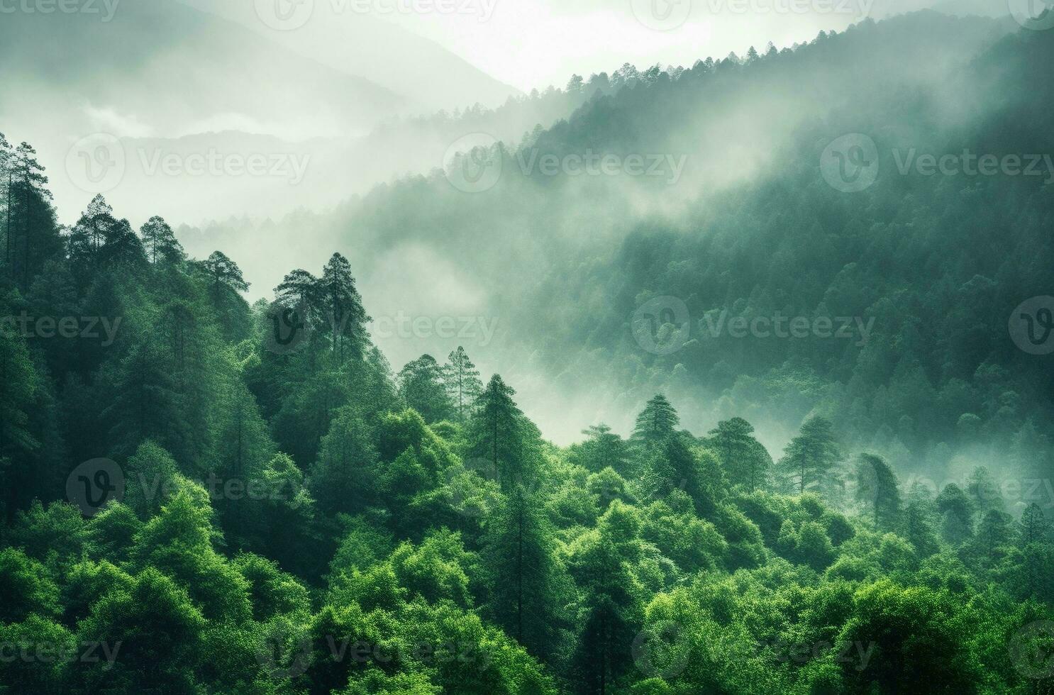 Misty mountain landscape with green trees in the forest photo - Foggy forest