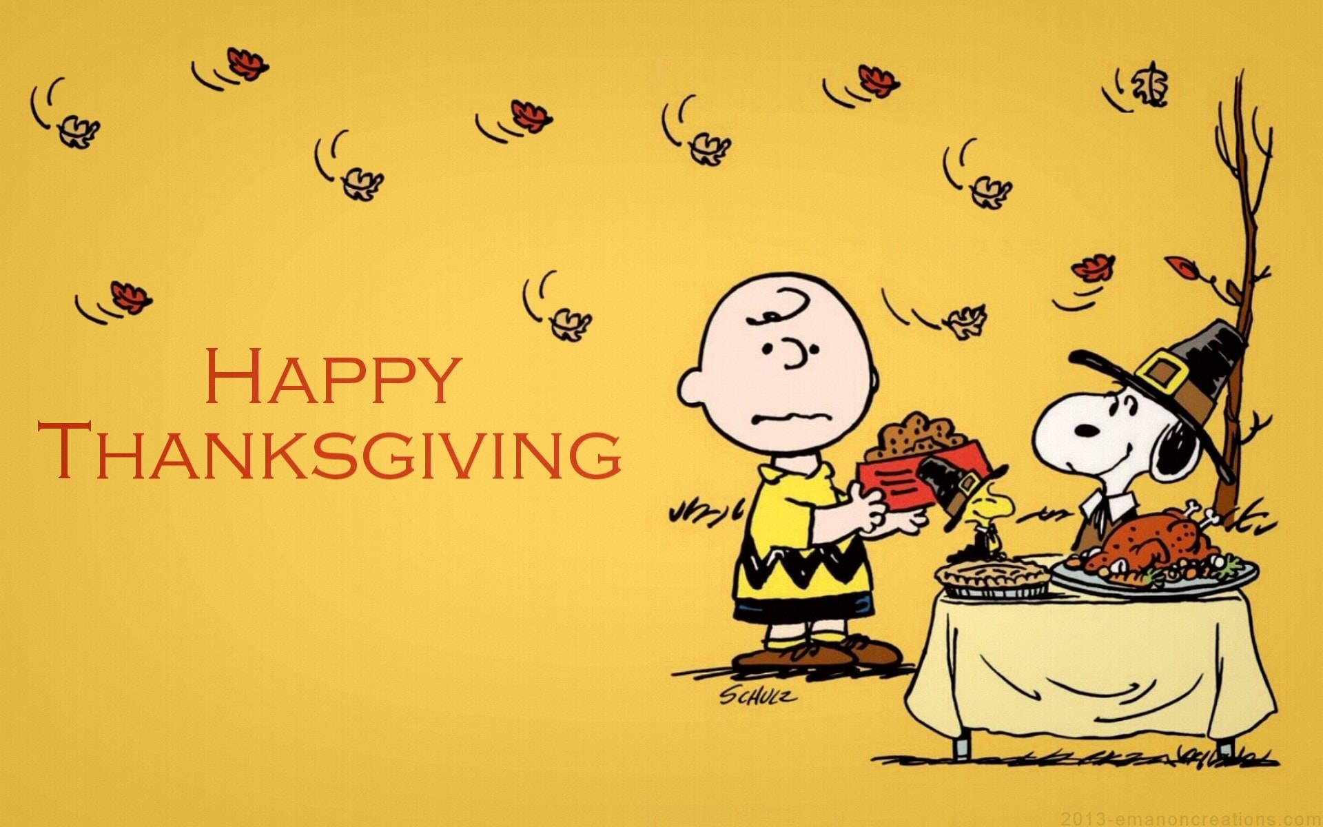 Thanksgiving is a time to be grateful for all the blessings in our lives. - Charlie Brown, Thanksgiving