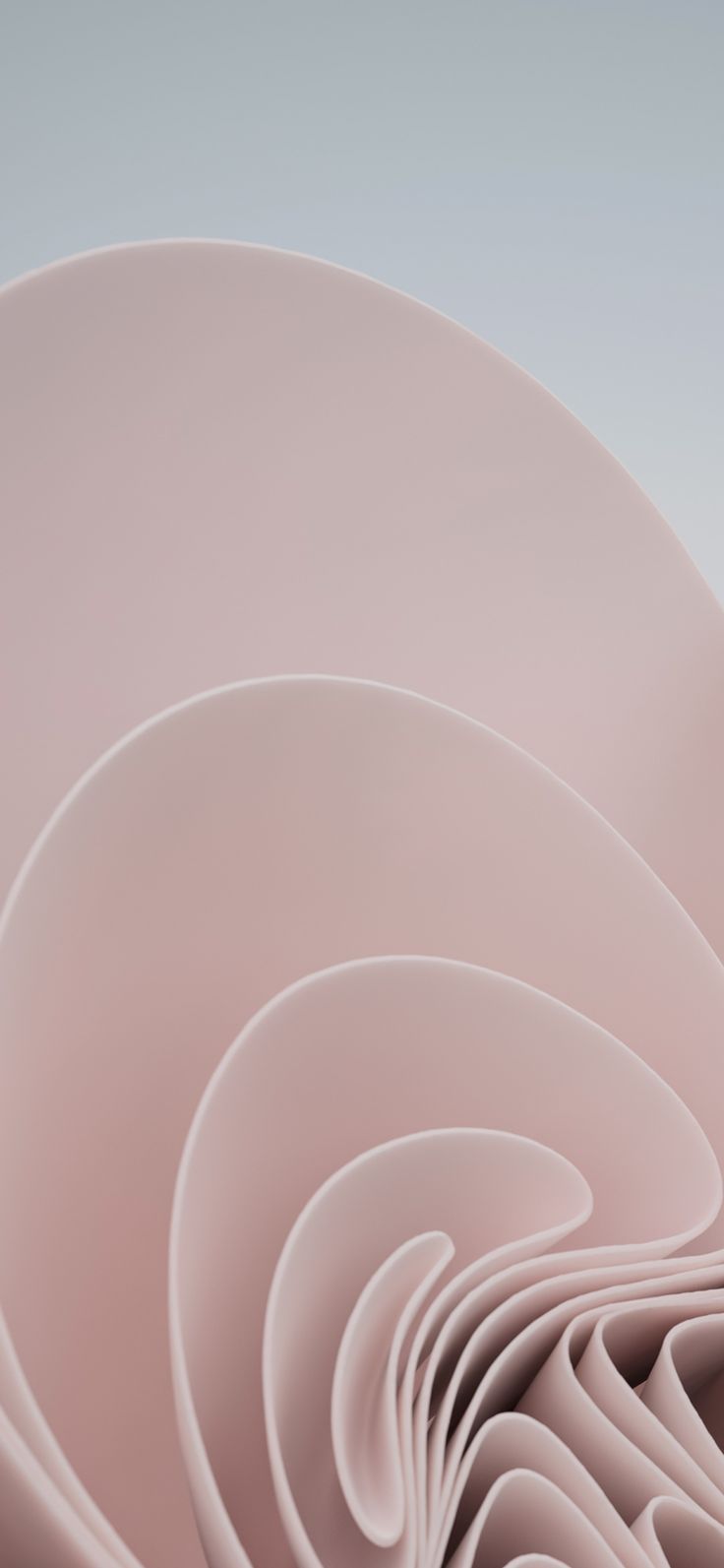 A close up of a pink sculpture with many curves - Windows 11