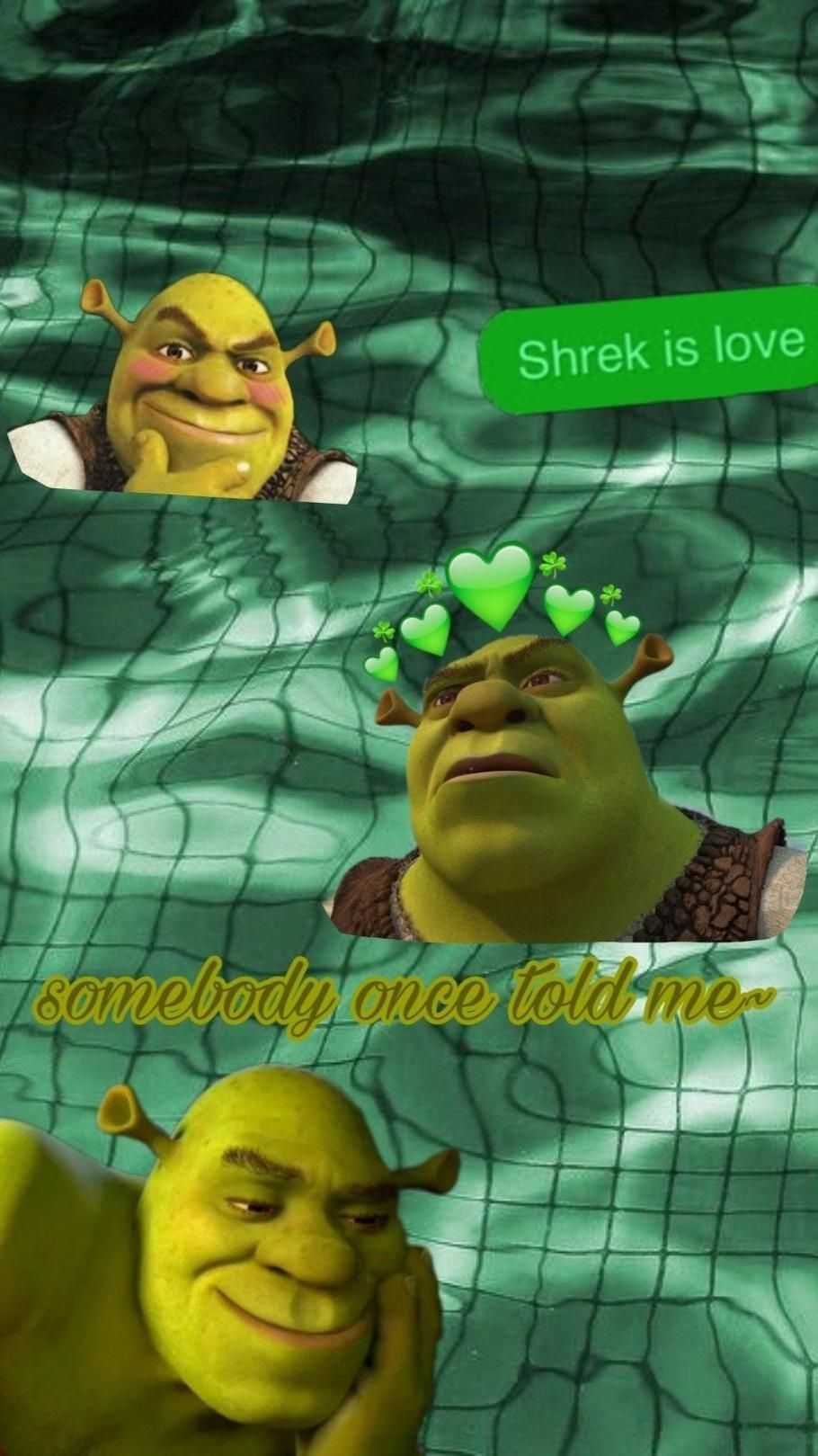 Aesthetic shreck wallpaper <33333333. Shrek, Shrek character, Shrek memes - Shrek