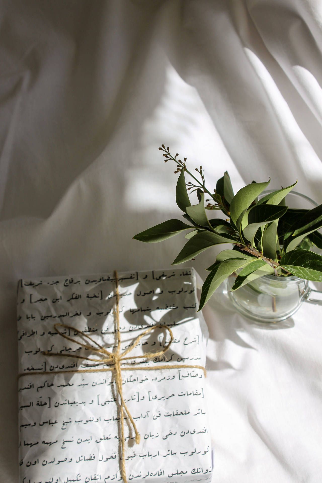 A white sheet with black Arabic writing on it. - Succulent