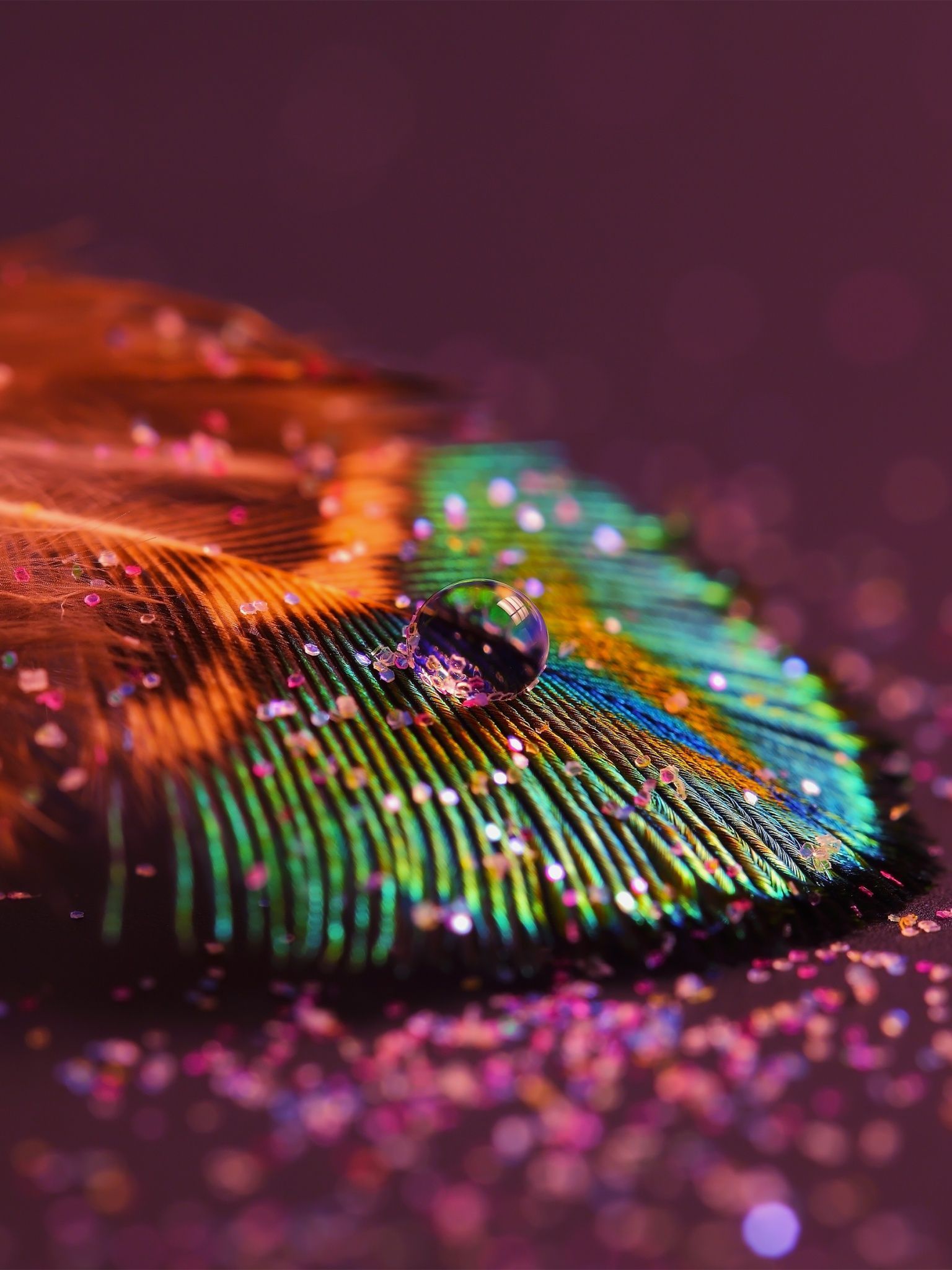 Peacock feather Wallpaper 4K, Aesthetic, Water drop