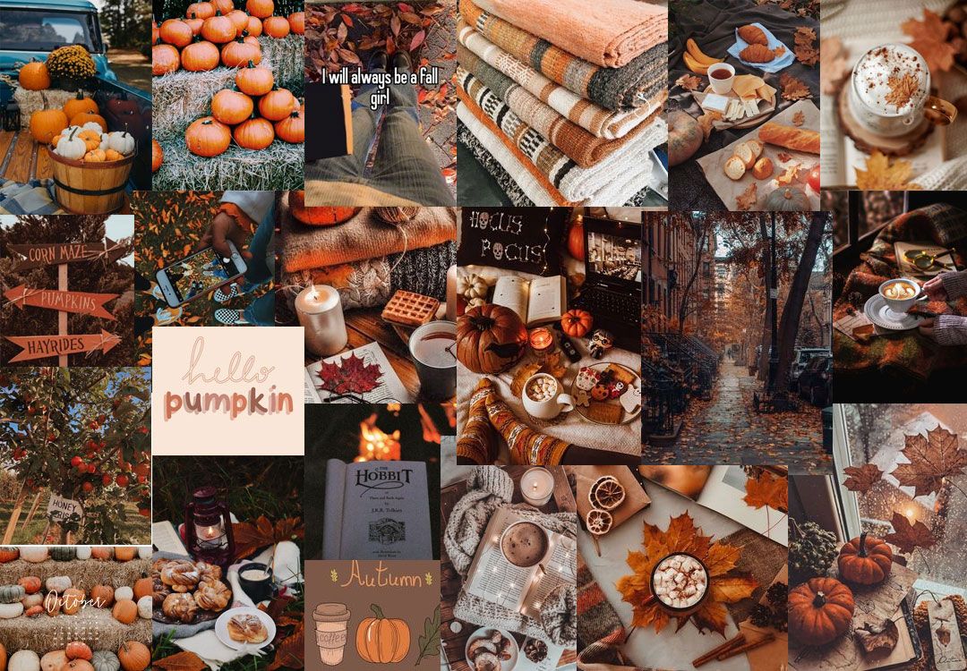 Harvest Harmony Collages of Autumn's Beauty : Hello Pumpkin Collage for Desktop & Laptop
