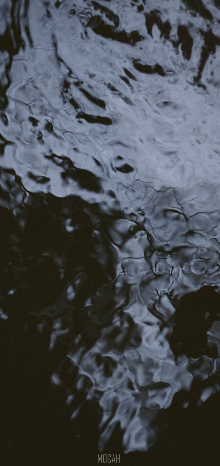 Water, Reflection, Black, Tree, Monochrome, vivo Y81 background, 720x1520 Gallery HD Wallpaper