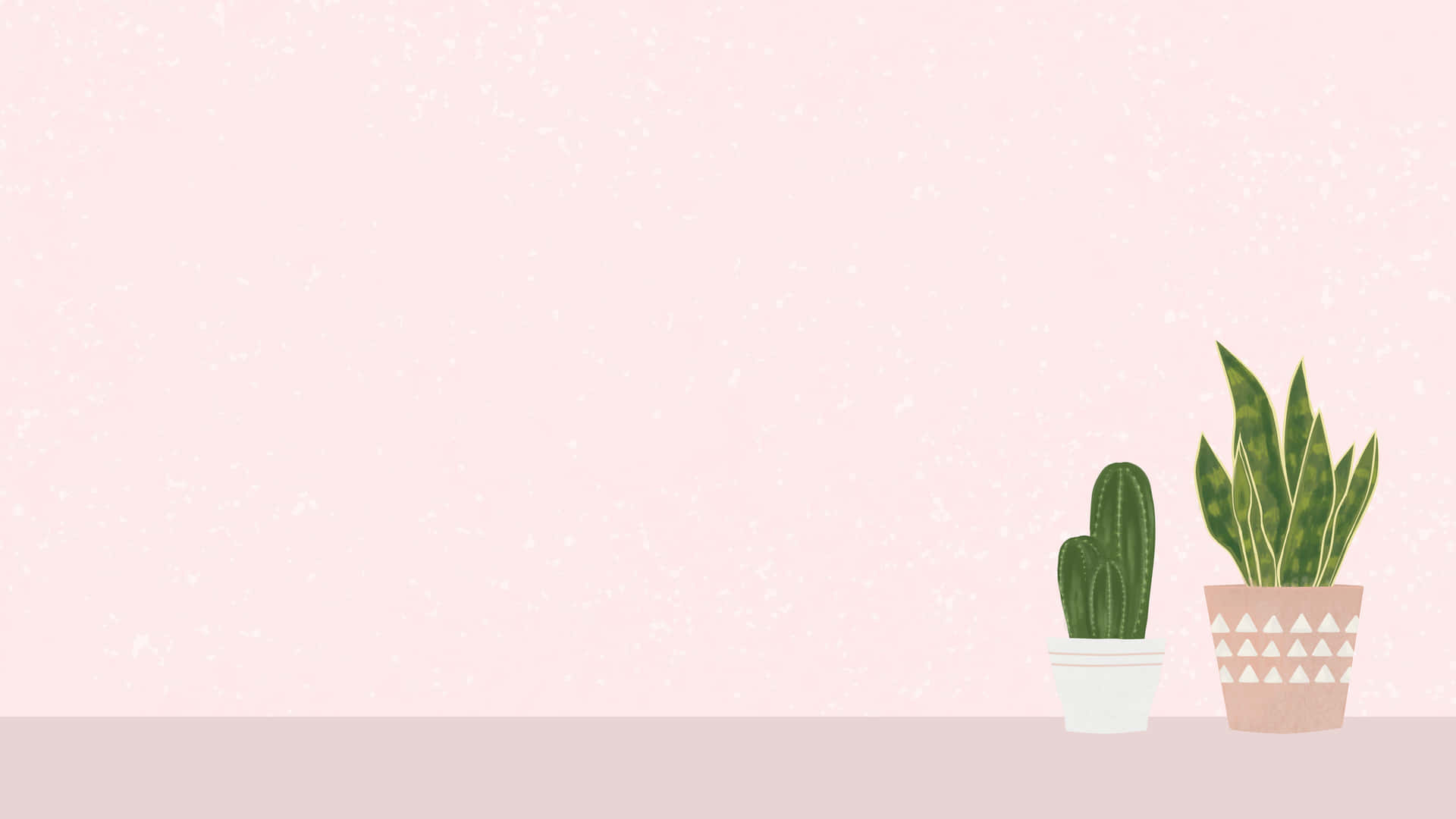 Two potted plants on a pink background - Succulent