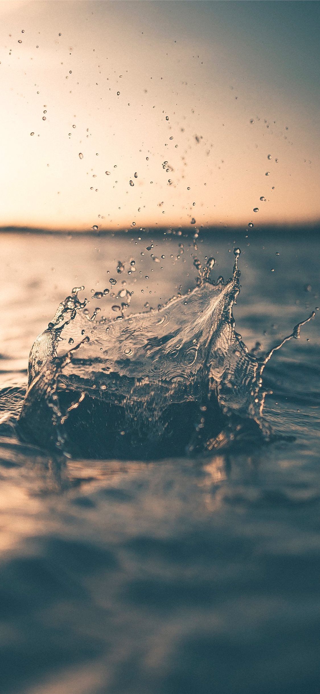 A wave splashes into the air during a sunset - Water