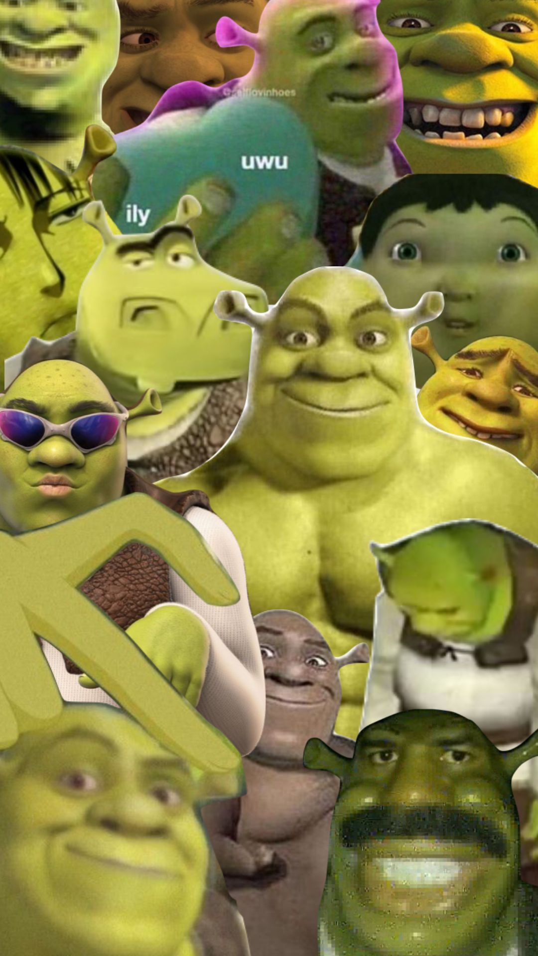 You just got shreked #shrek #aesthetic #swamplife. Shrek, Shrek funny, Cute laptop wallpaper