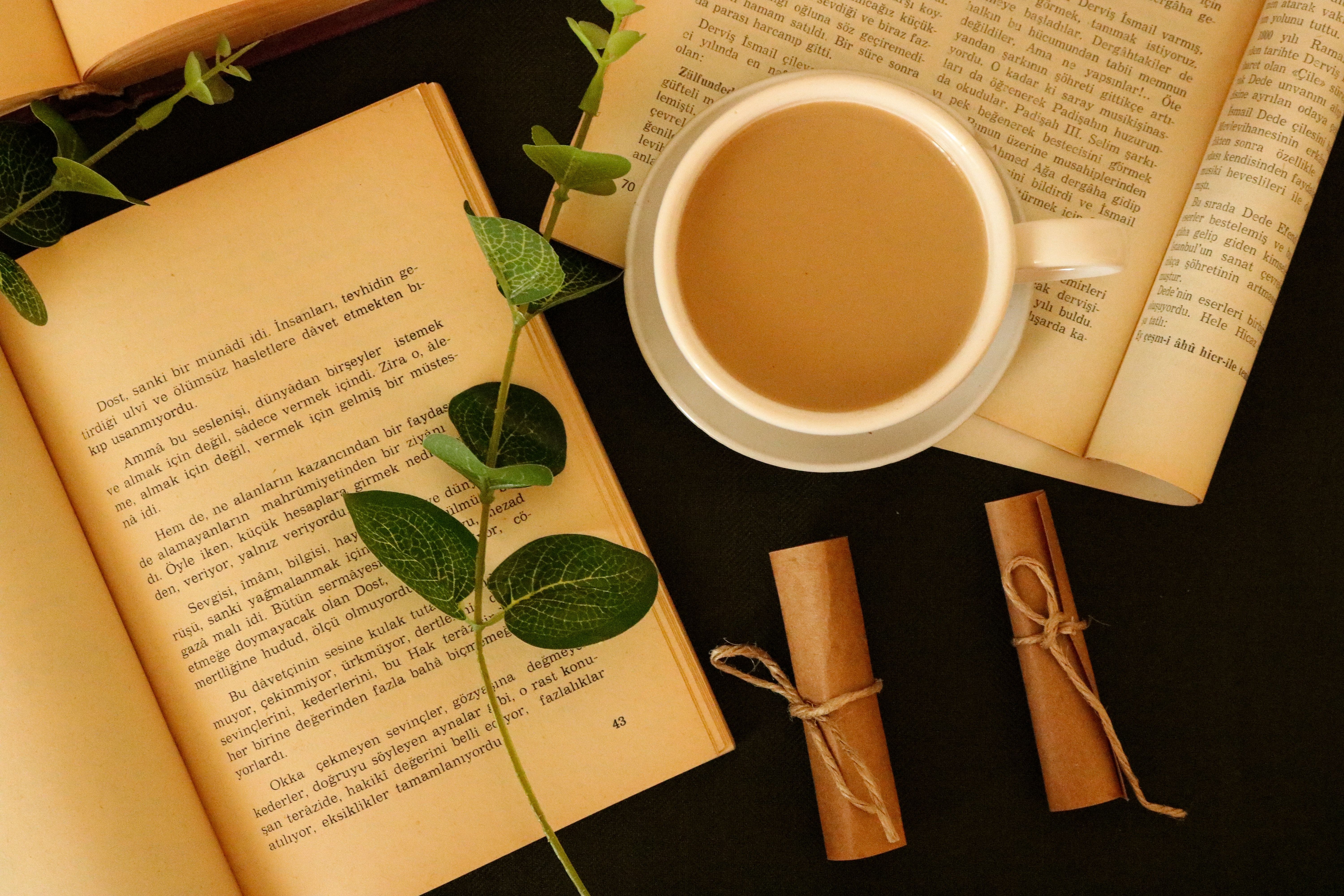 Cup of Coffee on an Opened Book · Free