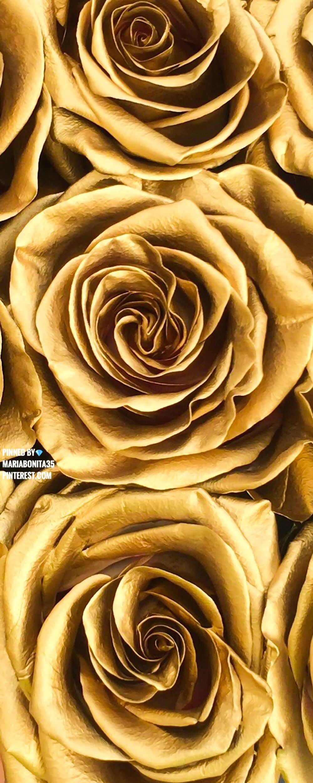 A close up of some gold roses - Gold