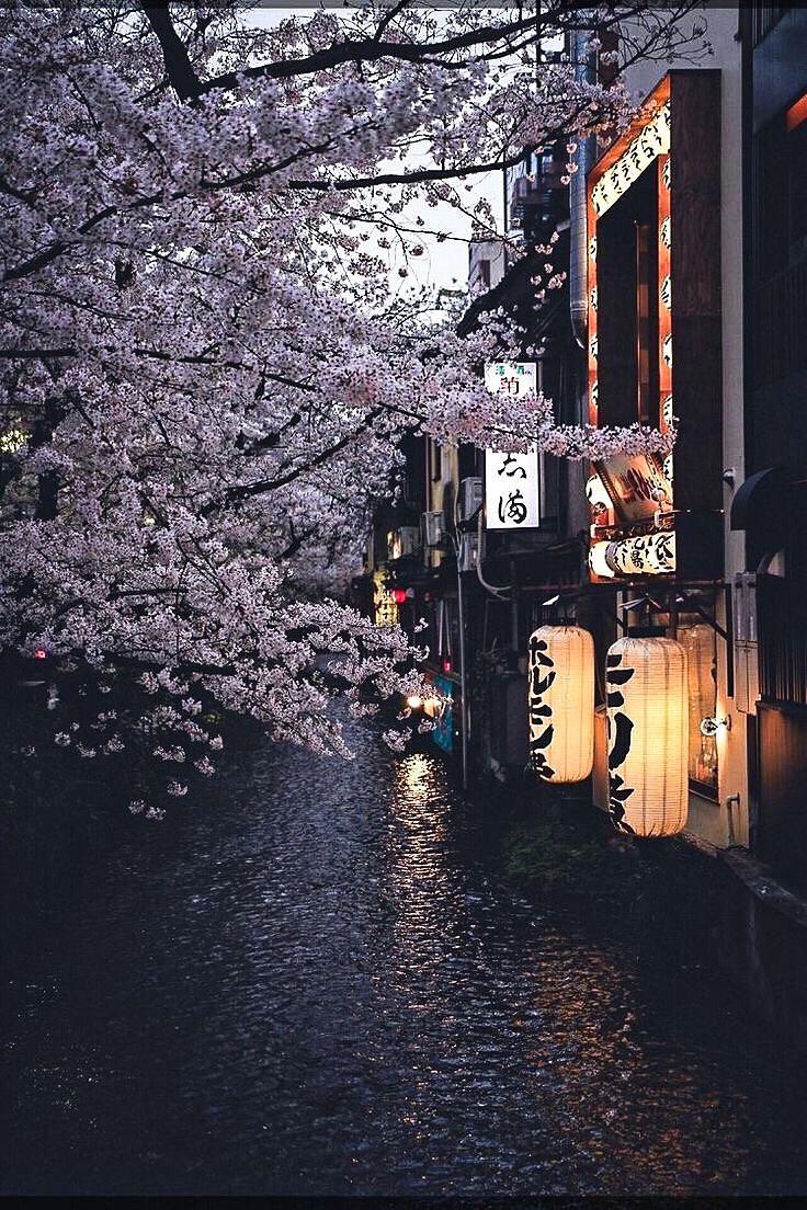 Japan Aesthetic Wallpaper