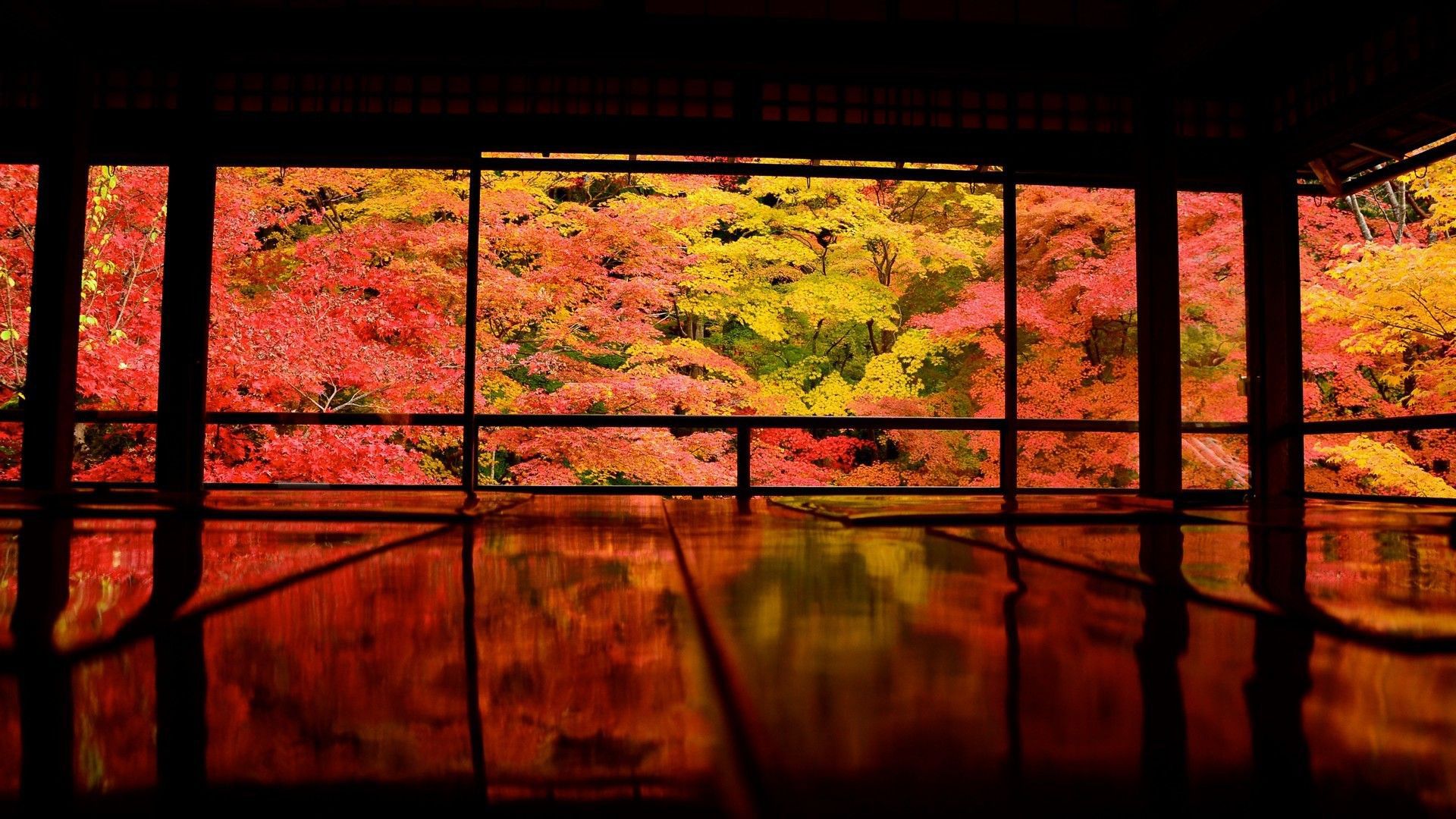 Japan Kyoto Asia Colorful Trees Reflection HD Japanese Wallpaper