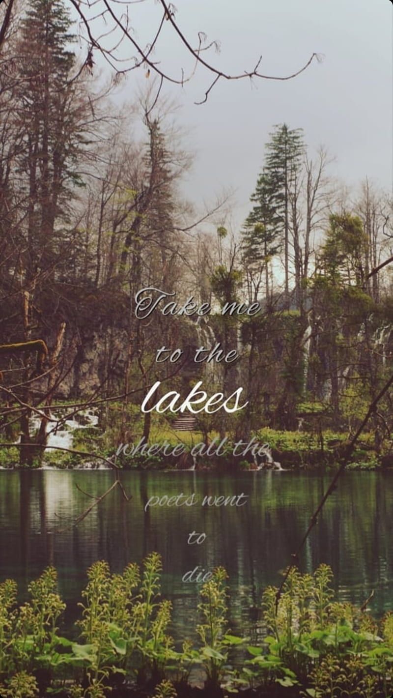 A quote over a picture of a lake surrounded by trees. - Taylor Swift