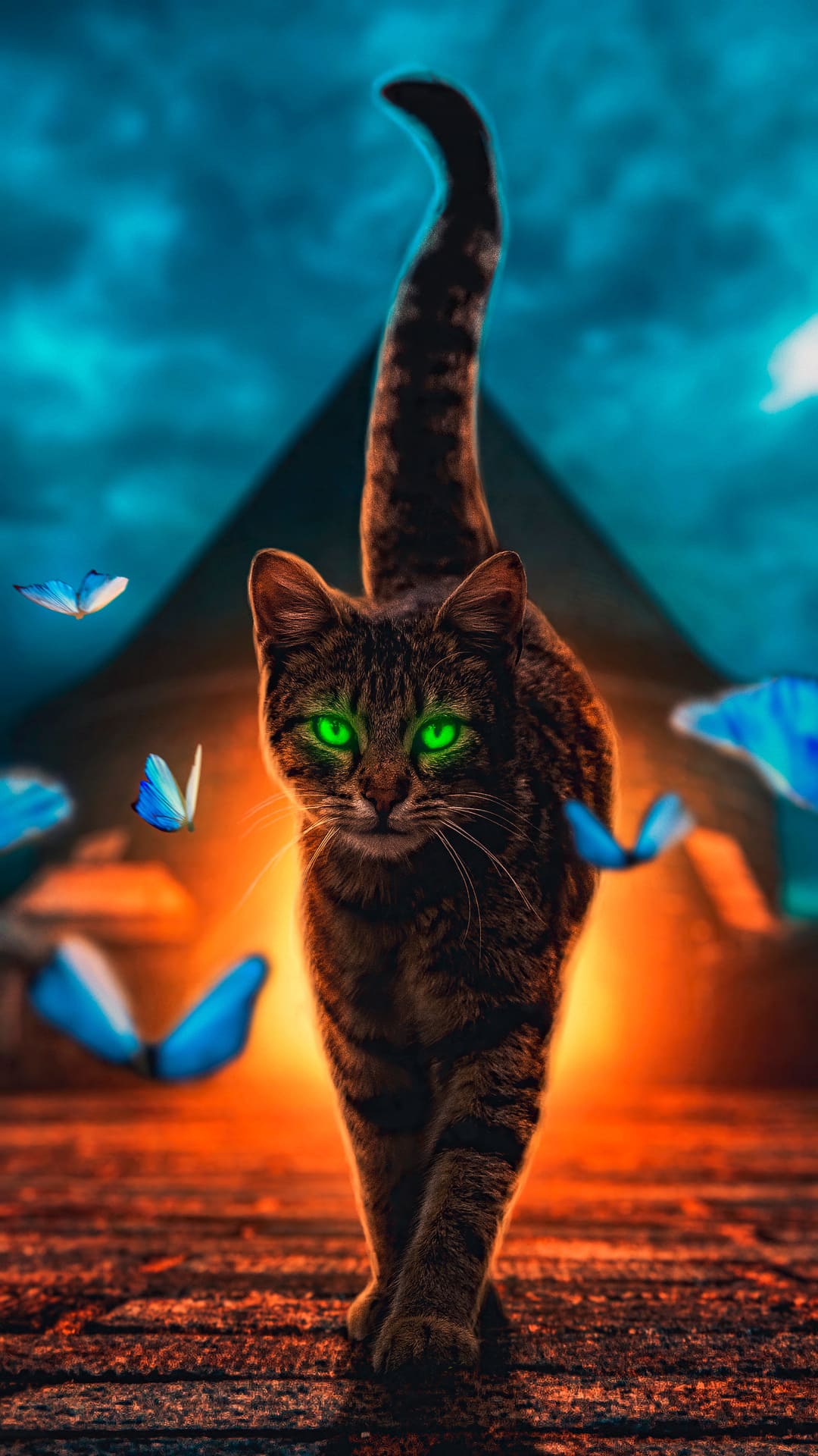 A cat with glowing eyes walking in front of a pyramid - Cat
