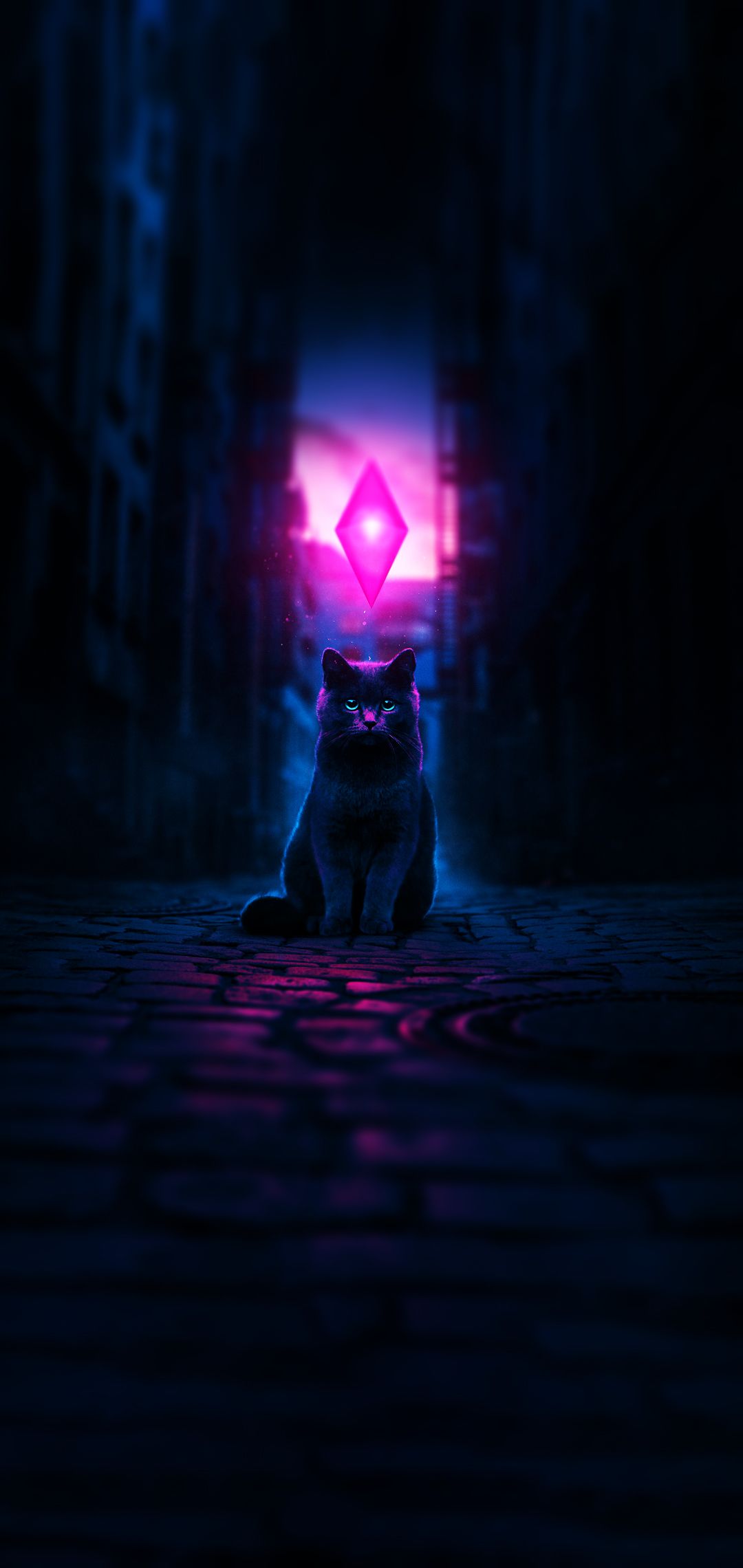 A cat sitting in the middle of an alley - Cat