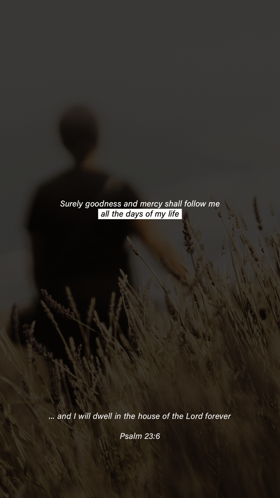 A man standing in the middle of tall grass - Christian