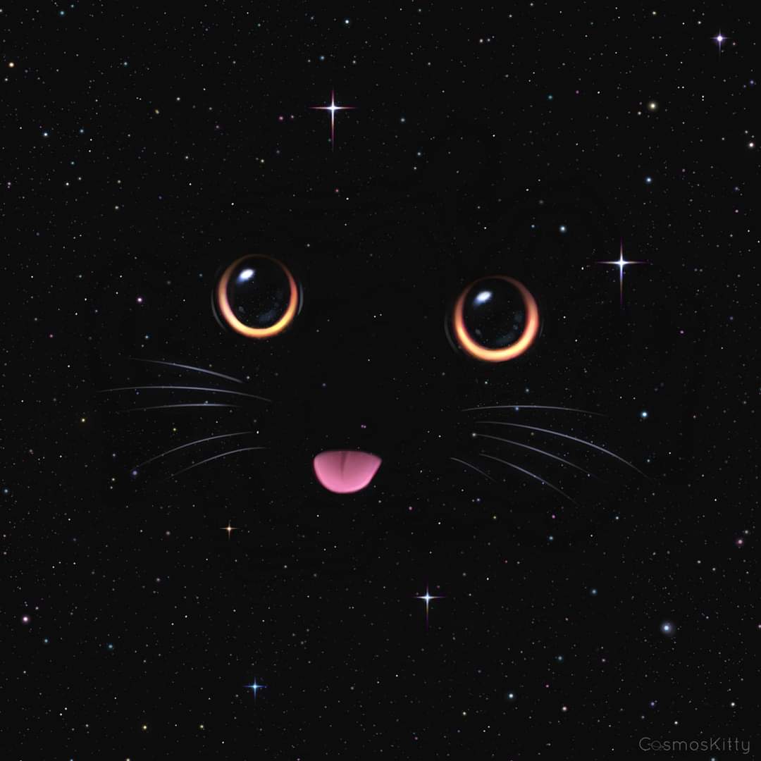 A cat's face appears on a black background with stars. - Cat