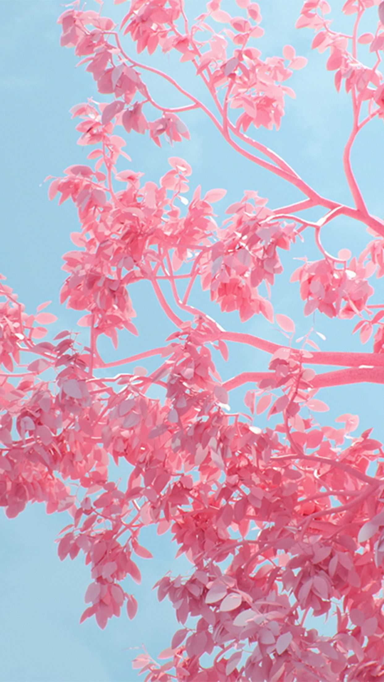 IPhone wallpaper of a pink tree against a blue sky - Soft pink, light pink