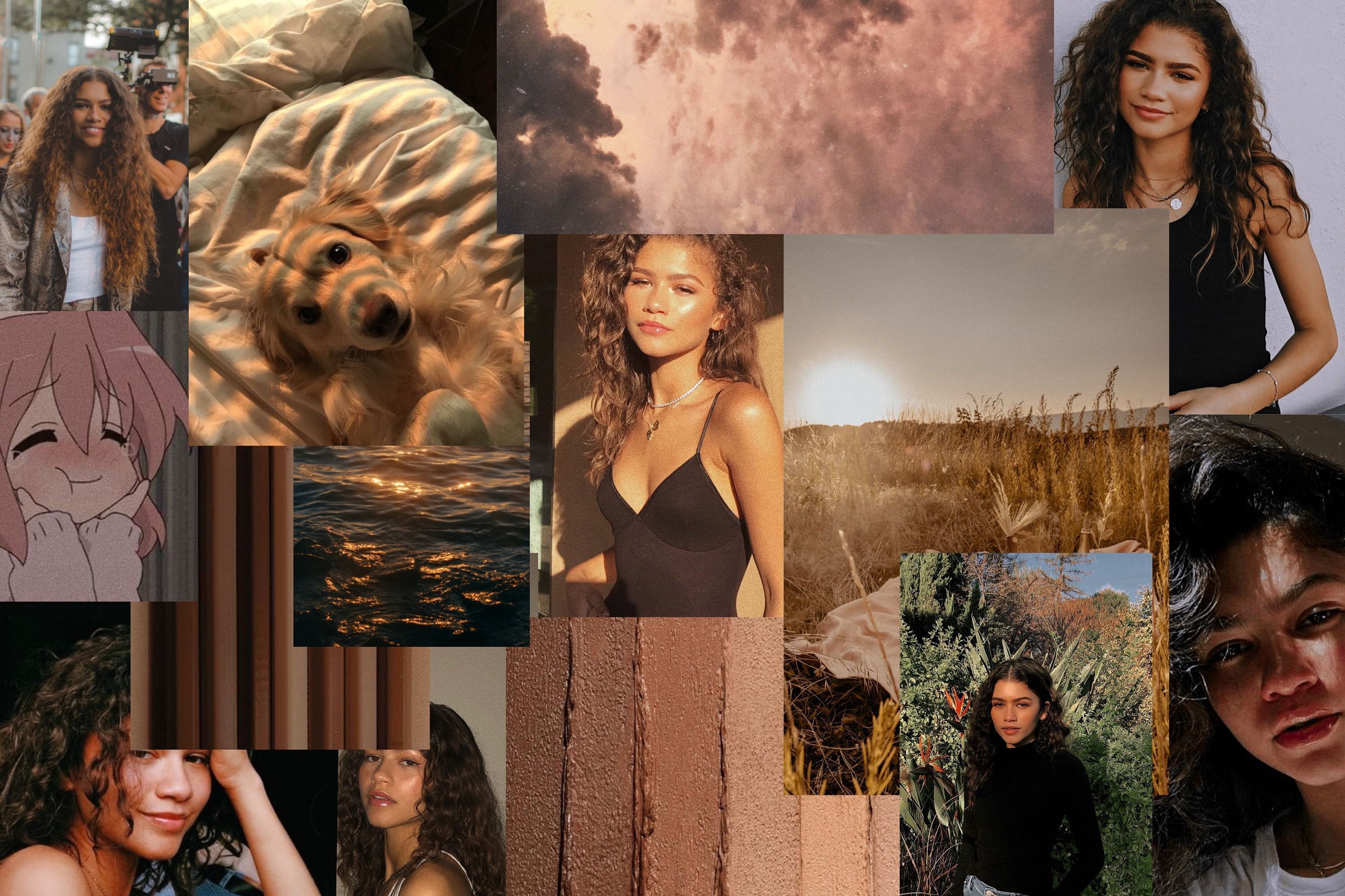 A collage of images of curly haired women, brown tones, and nature. - Zendaya