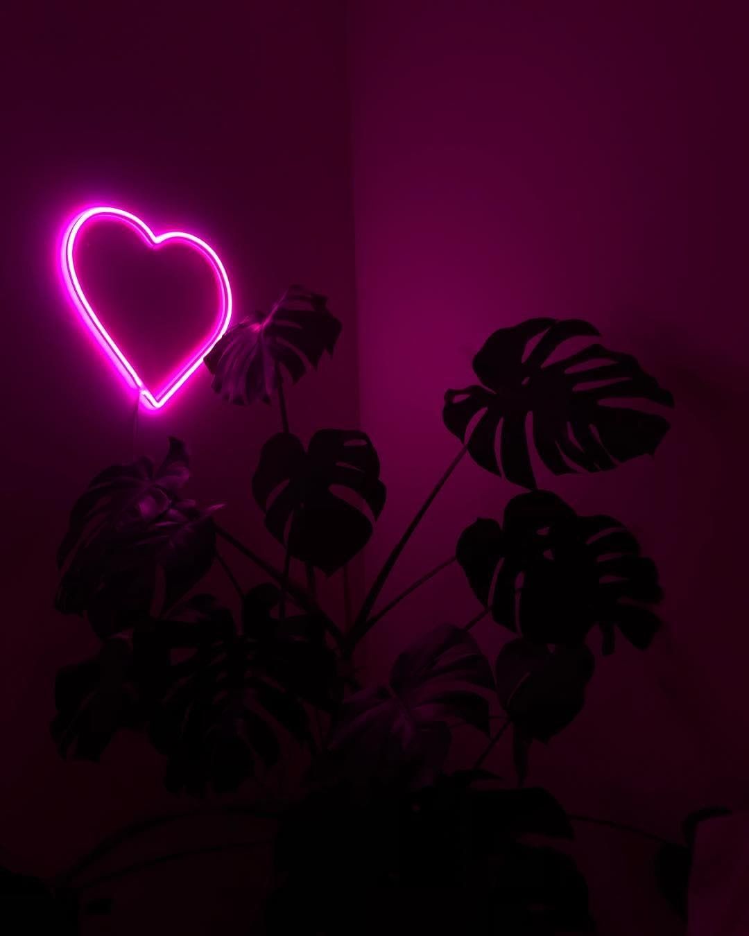 A neon pink heart on a purple wall with a plant in the foreground - Neon
