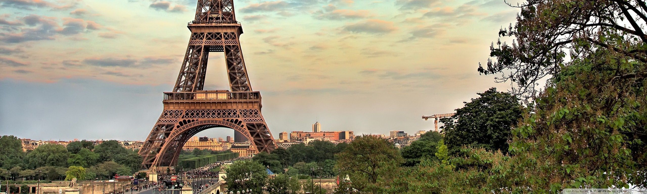 Eiffel Tower in Paris, France, seen from Trocadero, a popular tourist destination. - France