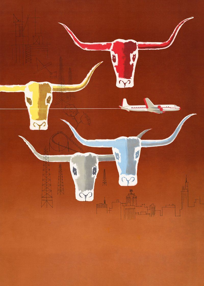 Texas Longhorn Image Wallpaper