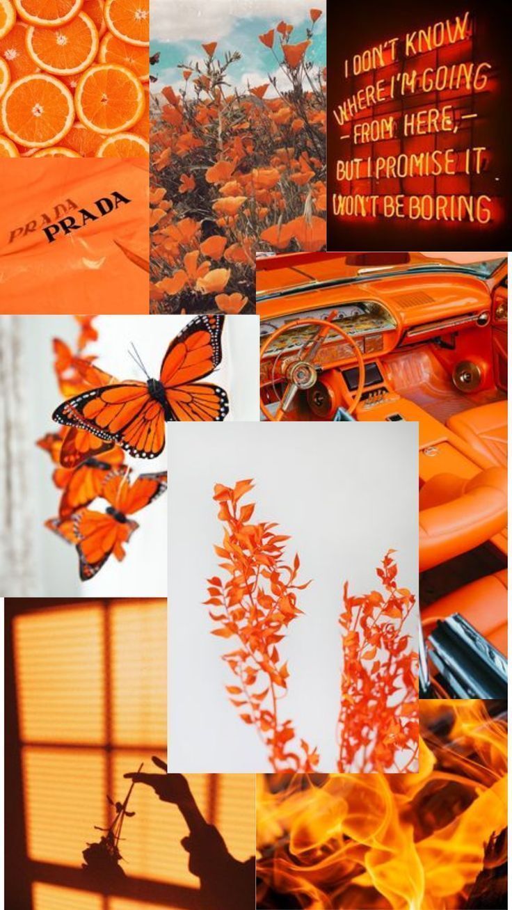Orange Aesthetic Collage Wallpaper For Phone, IPhone. Pretty wallpaper iphone, Orange wallpaper, iPhone wallpaper yellow