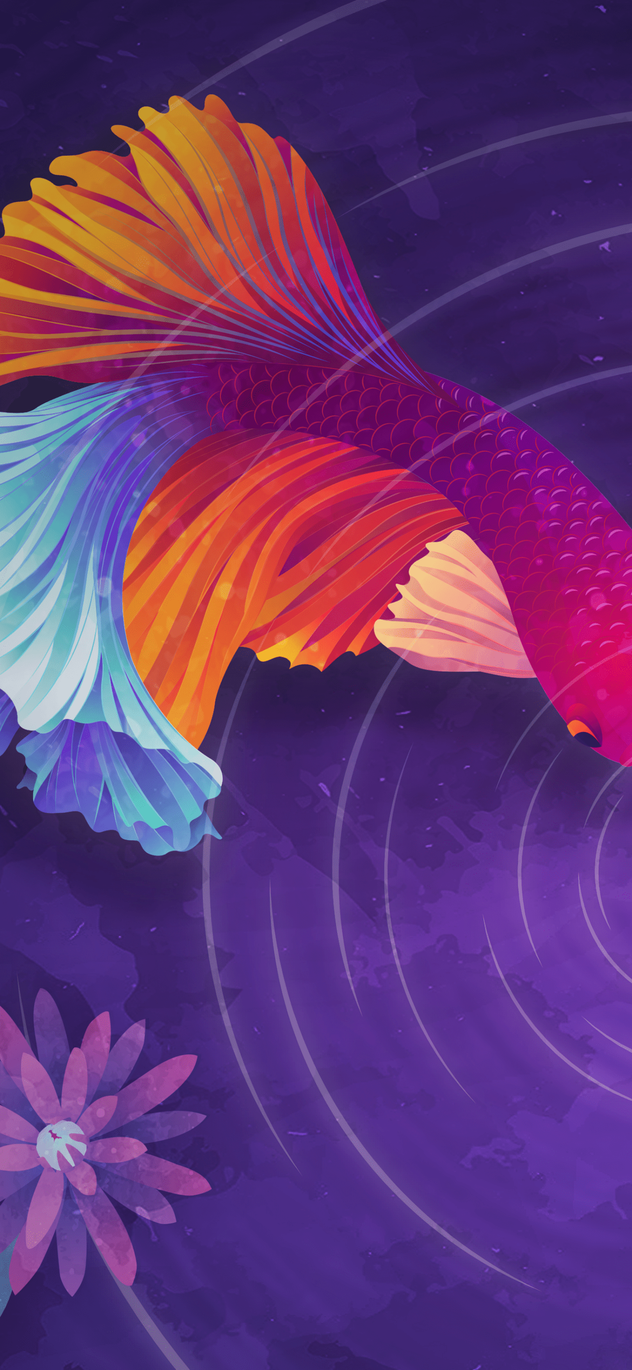 Colorful fish Wallpaper 4K, Ripple, Purple background