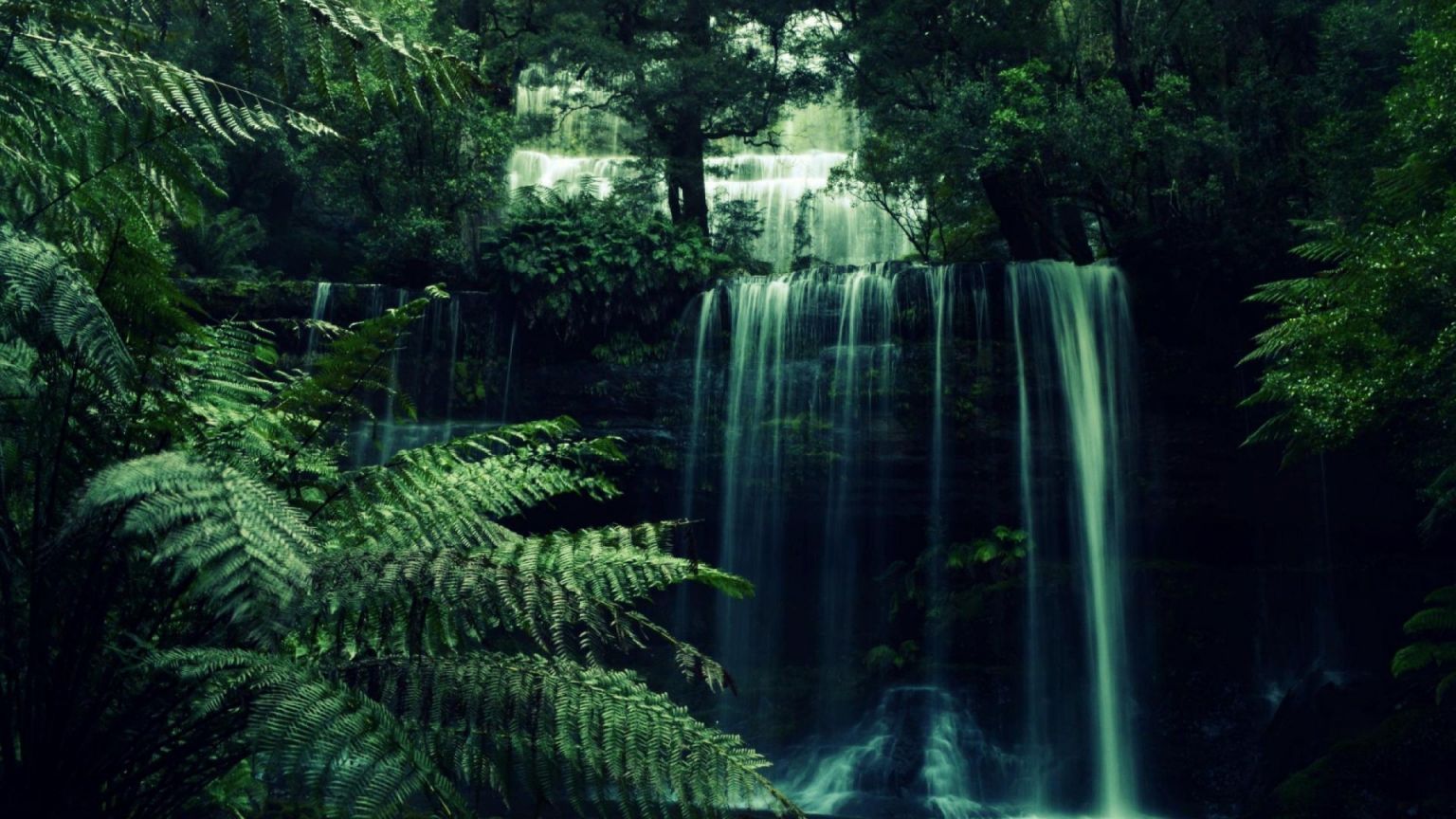 A waterfall surrounded by green plants - Waterfall