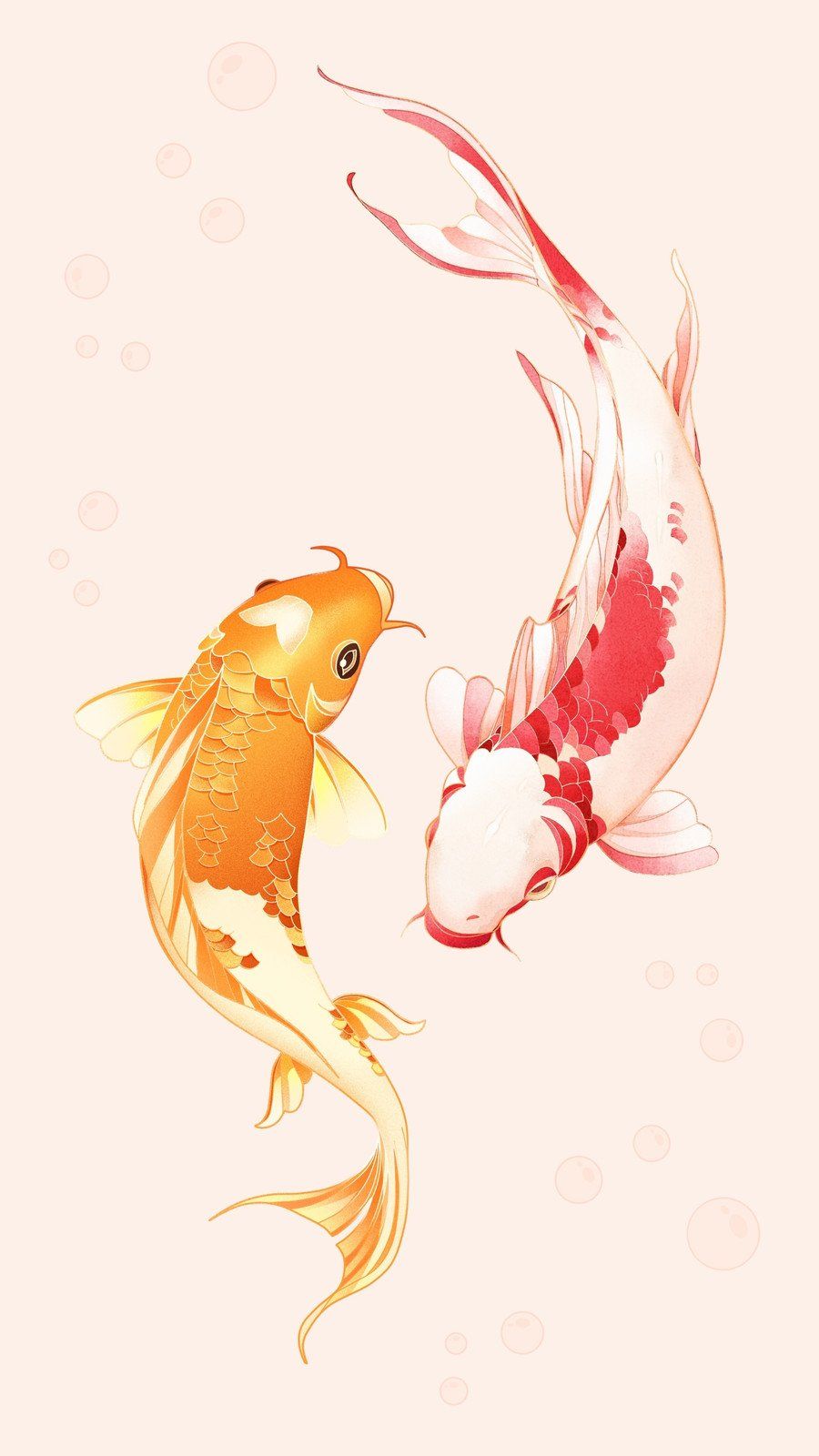 A pair of koi fish swimming together - Fish