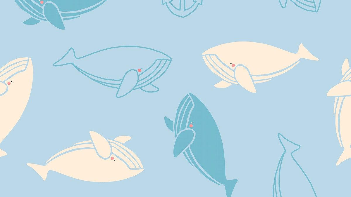 Fish Wallpaper Image Wallpaper