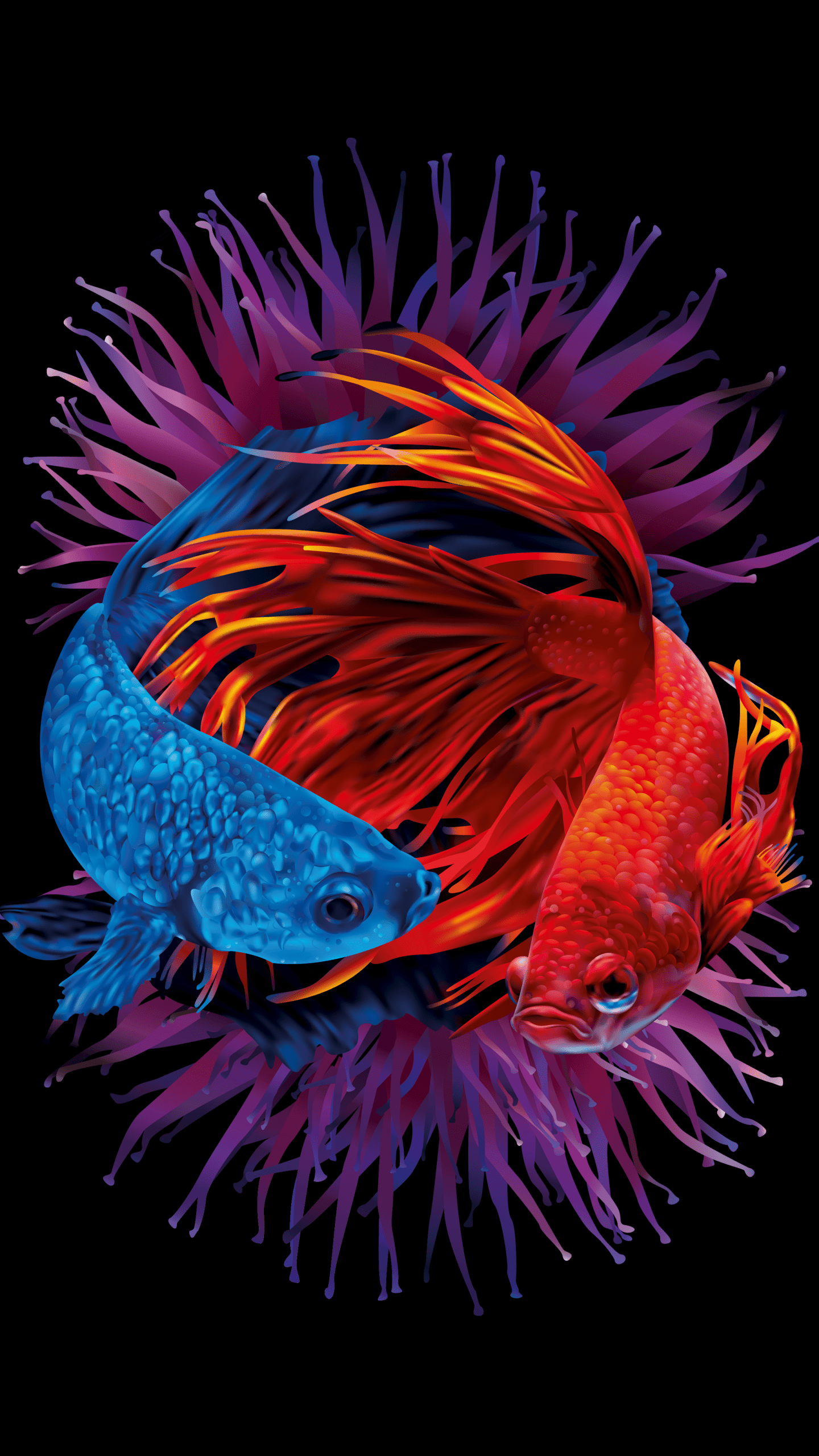 Betta fishes Wallpaper 4K, Siamese fighting fish, Underwater