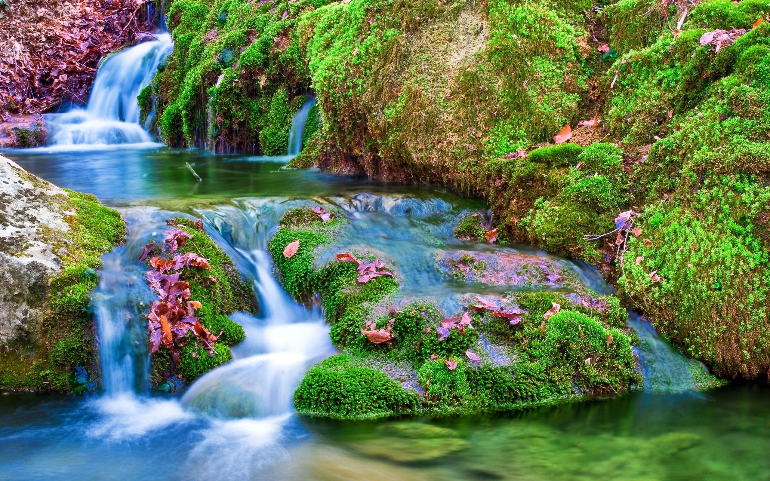 A stream flows over mossy rocks in a forest. - Waterfall