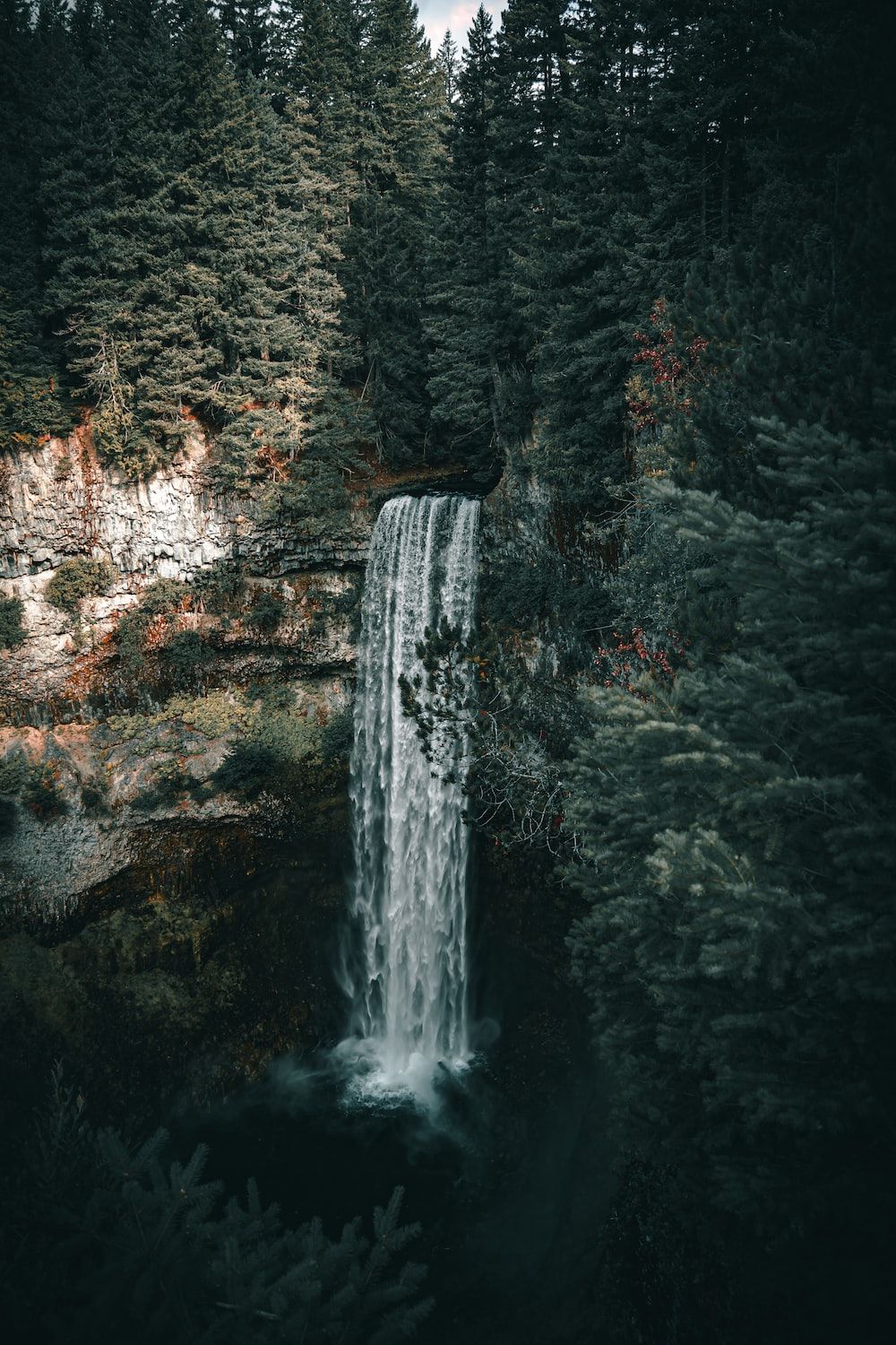 A waterfall in the middle of a forest photo - Waterfall